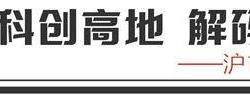 文灿股份：从压铸小作坊到全球汽车零部件巨头