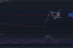 ADA/USDT交易策略深度解析：结合技术指标与市场情绪