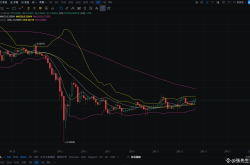 DOGE价格深度分析及交易策略建议