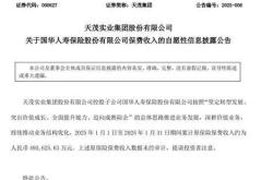 国华人寿困局：投资策略失灵与高额退保的双重夹击